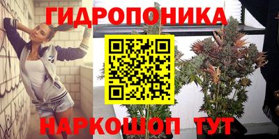 ГАЛЛЮЦИНОГЕННЫЕ ГРИБЫ Новокубанск